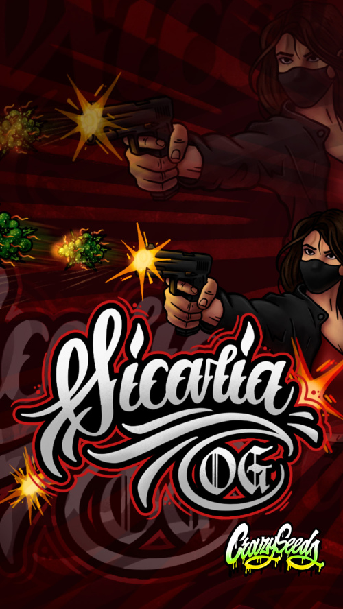 SICARIA OG