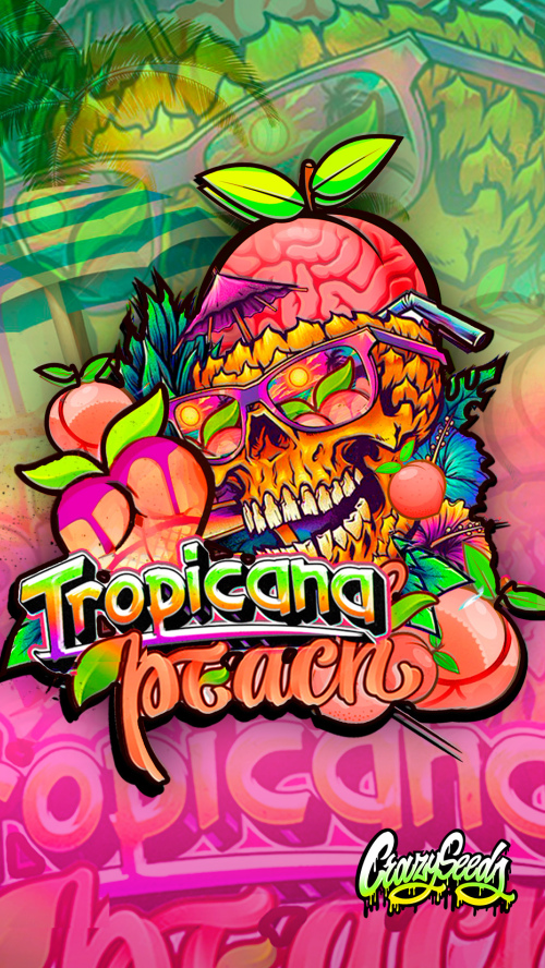TROPICANA PEACH
