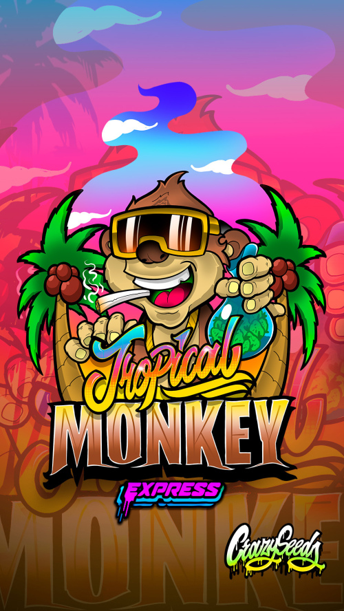 TROPICAL MONKEY EXPRESS