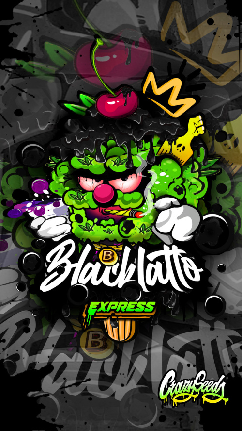BLACKLATTO EXPRESS