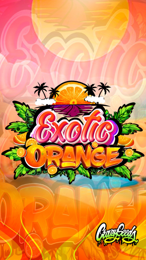 EXOTIC ORANGE