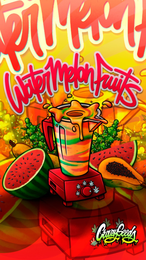 WATERMELON FRUITS