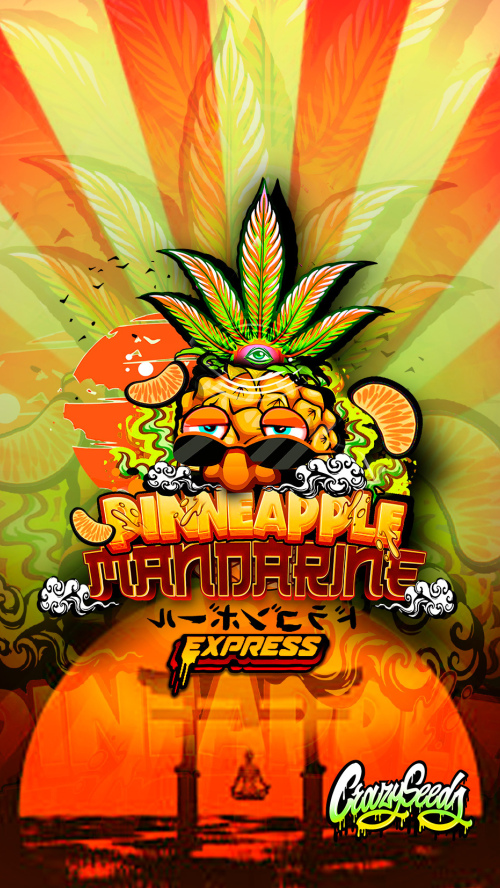 PINEAPPLE MANDARINE EXPRESS
